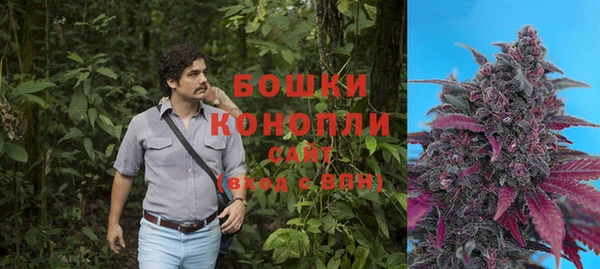 ПСИЛОЦИБИНОВЫЕ ГРИБЫ Надым