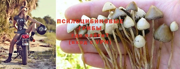 ПСИЛОЦИБИНОВЫЕ ГРИБЫ Надым