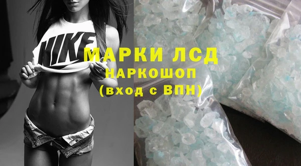 ПСИЛОЦИБИНОВЫЕ ГРИБЫ Надым