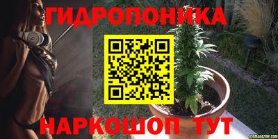 бошки Камышлов