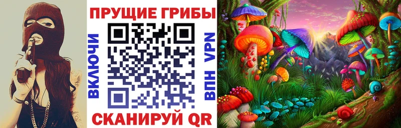 даркнет сайт Шарыпово Псилоцибиновые грибы мицелий